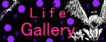 Doll�B�̓���ʐ^